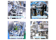 De Zak van de PEULpremade van Juice Automatic Rotary Packing Machine van het PEULfruit vult en verzegelt Machine